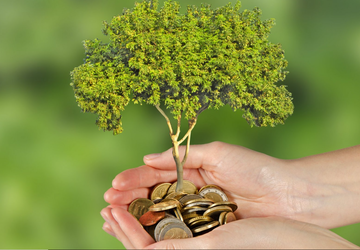 How to Invest in the Green Economy: Sustainable Finance Solutions